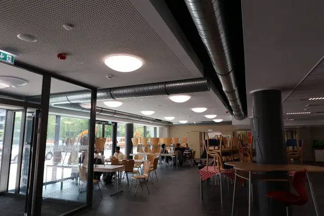 Wilhelm-Dörpfeld-Gymnasium, Projektfoto