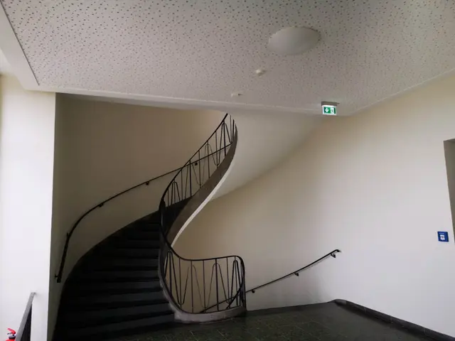 Freiherr-vom-Stein-Gymnasium, Projektfoto
