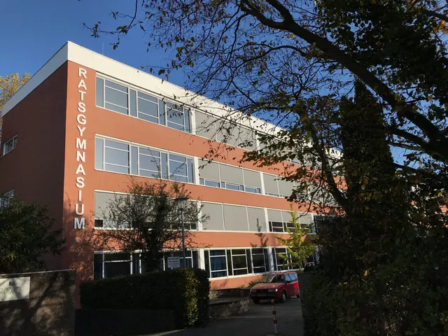 Ratsgymnasium, Projektfoto
