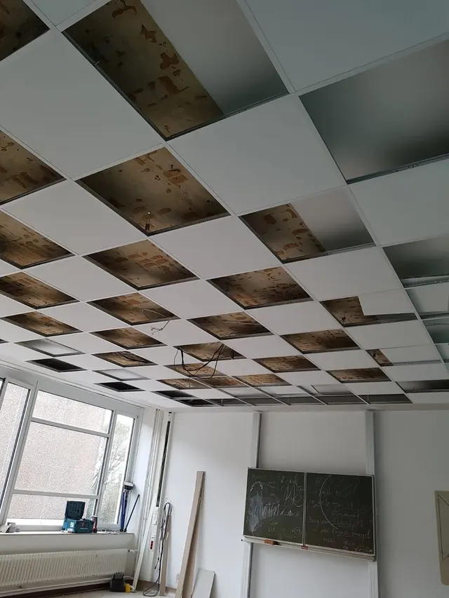 Ratsgymnasium, Projektfoto