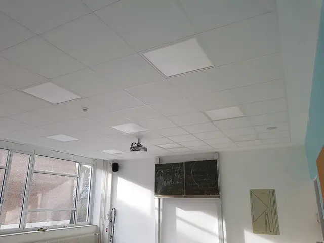 Ratsgymnasium, Projektfoto
